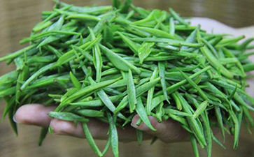 茶葉追溯系統的功能與優(yōu)勢
